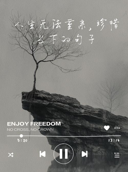 人生不可重来，十年前那个割肾买苹果手机的高中生，现在过得怎样