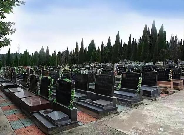 合肥多位村民公墓遭抢砸，骨灰被抛洒，警方已介入，疑似原因曝光