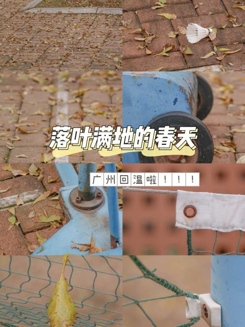 广州大学城草丛里看见很多乌七八糟的东西，不堪入目，太明目张胆