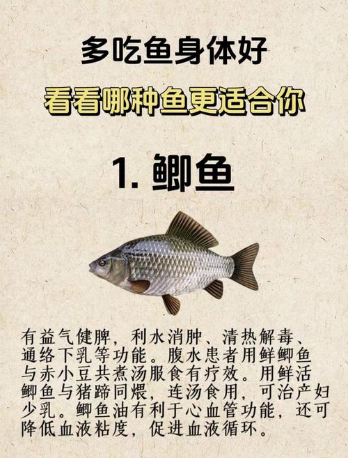 吃对鱼，整年不生病！这3种“养生鱼”养肝健脾、祛湿安神
