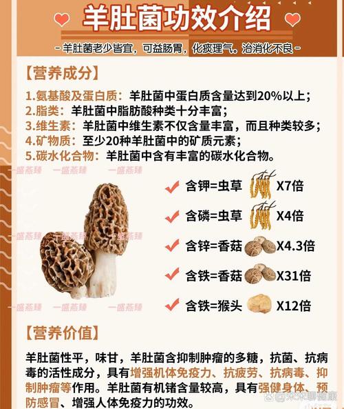 羊肚菌美味无比，但食用前要警惕！你知道这些禁忌和正确吃法吗？