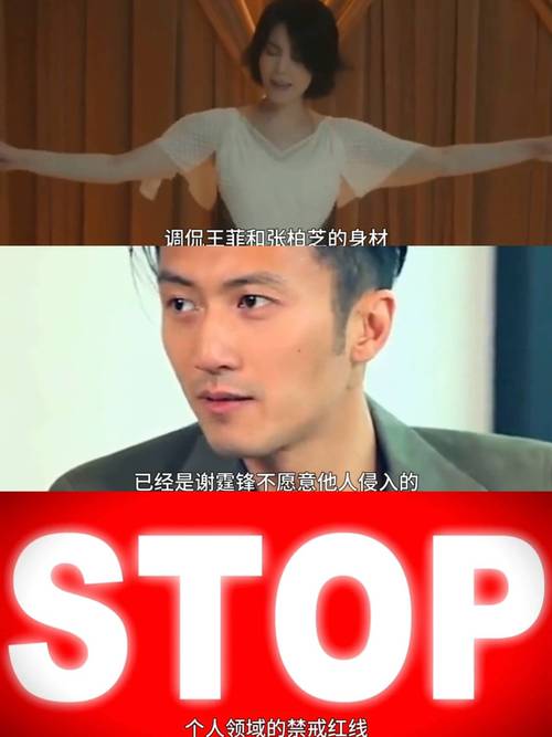 直到儿子快上大学，才发现，谢霆锋是第二个平金涛，王菲她值得吗
