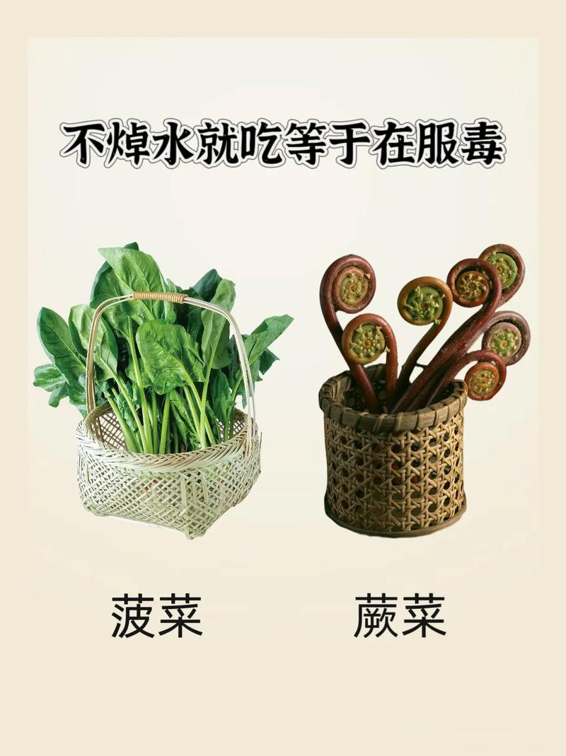 这4种春菜不焯水等于“吃毒”正确焯水有三个要点，焯不对白费