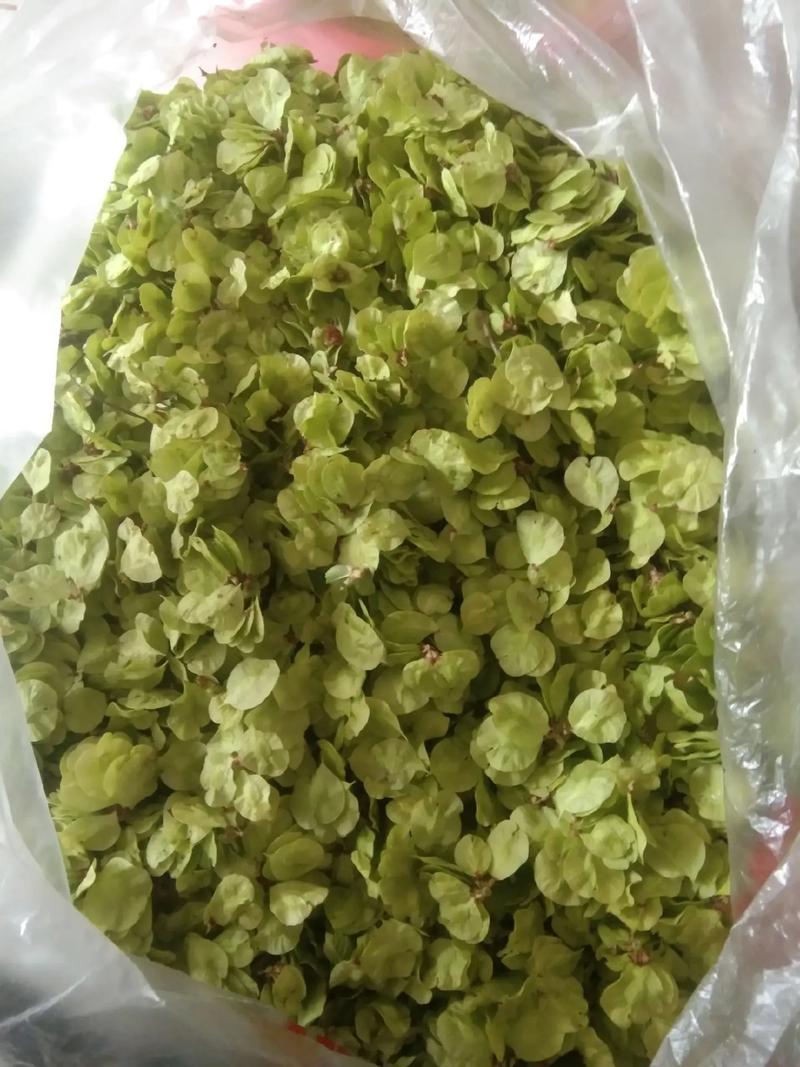 美食 第86页