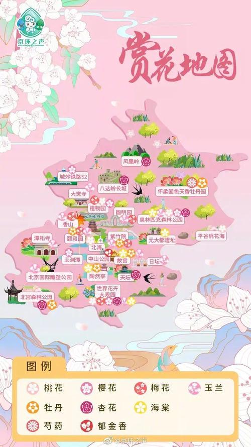 2025年花开北京赏花地图发布！214处赏花片区邀您赏