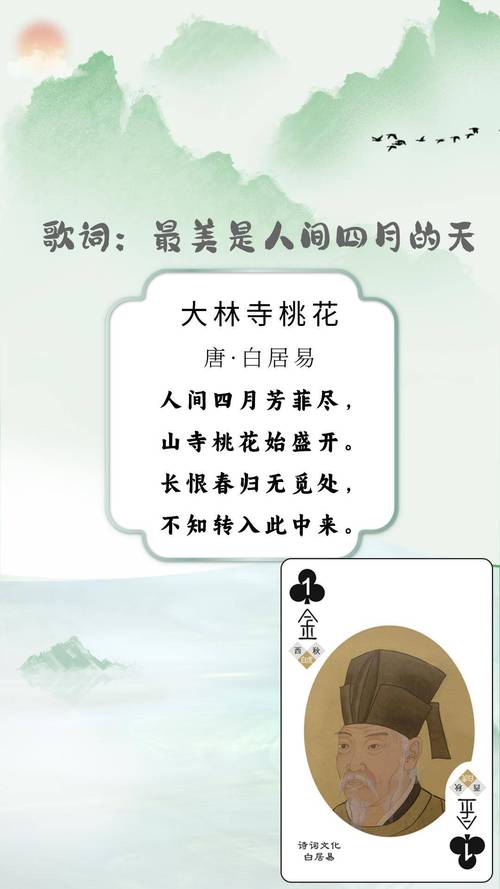 上春山丨山西大同：古韵新姿，沐杏花春雨