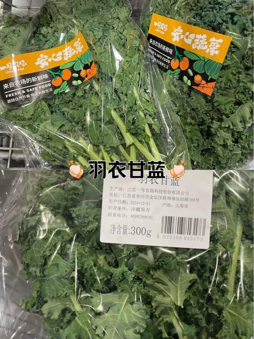 从喂羊到卖断货！谁在炒作羽衣甘蓝？