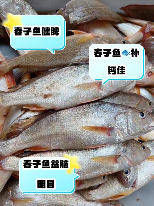 美食 第84页