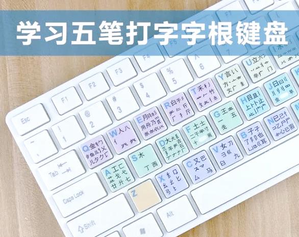 2025年3月28日 第14页