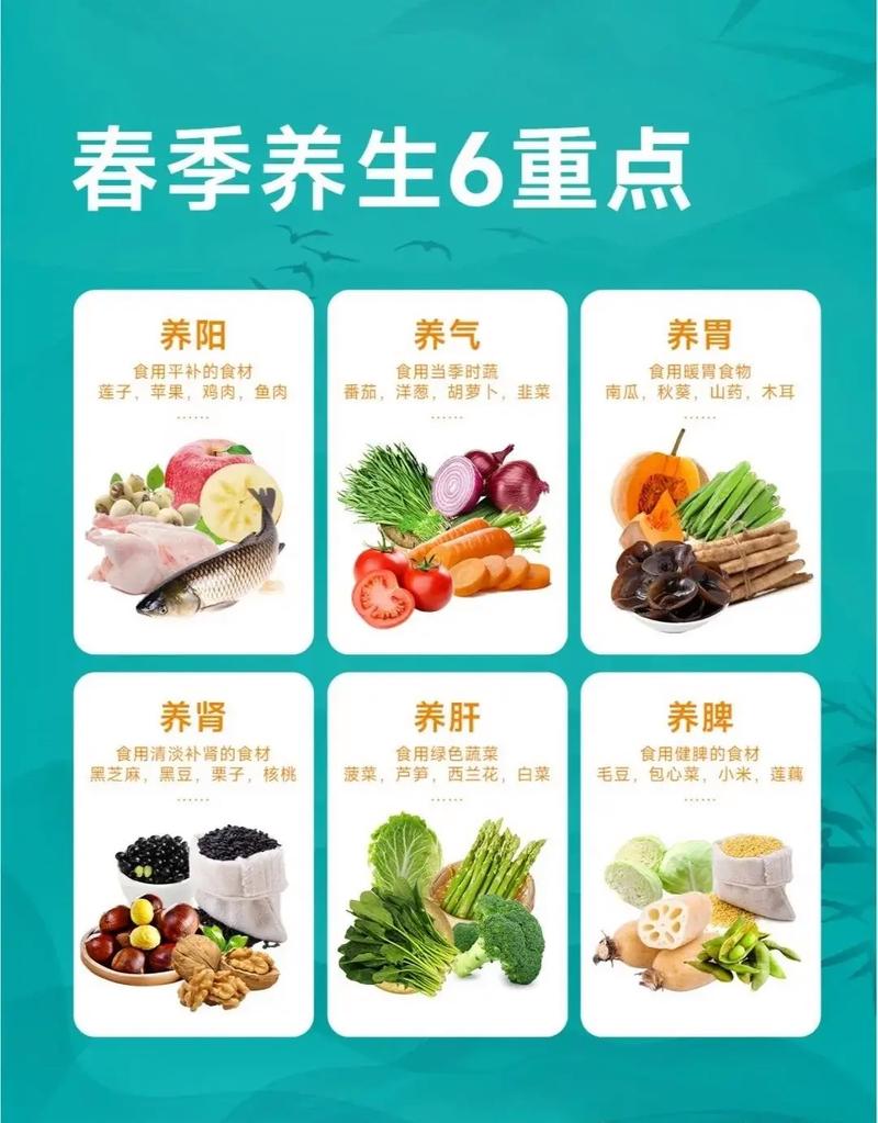 推荐4道春季养生菜！氨基酸维生素特丰富，鲜嫩特好吃