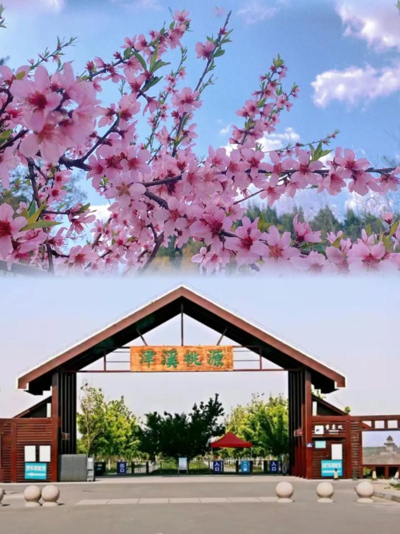 2025年3月 第97页