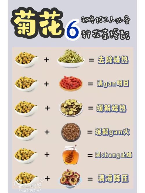 菊花茶不是随便喝的！如果要喝，记住这5个禁忌和3个搭配