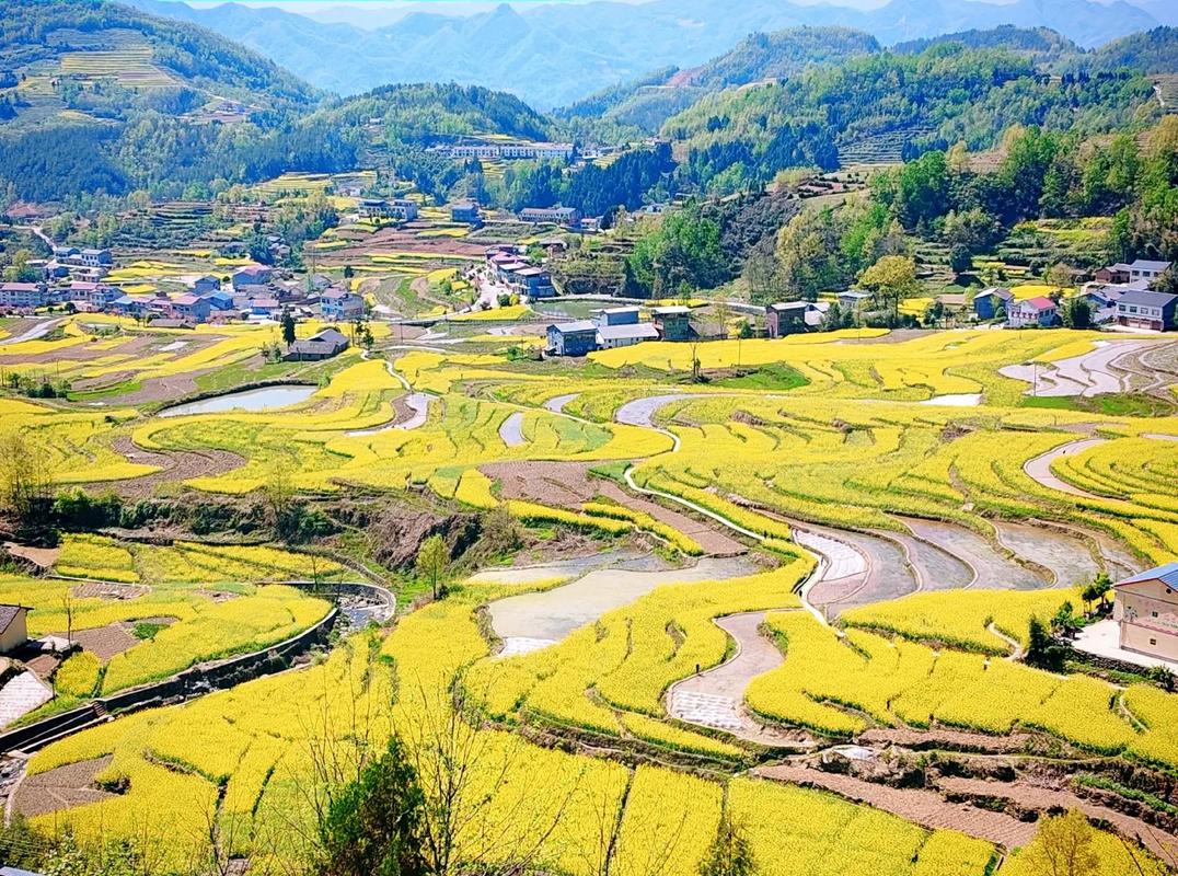 陕西汉阴县凤堰古梯田花海