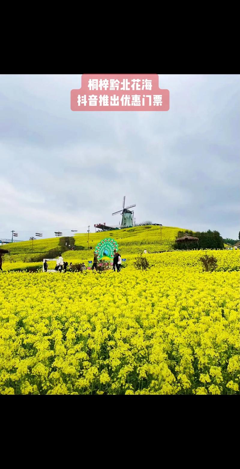 7000余亩浪漫花海，就在桐梓这里.