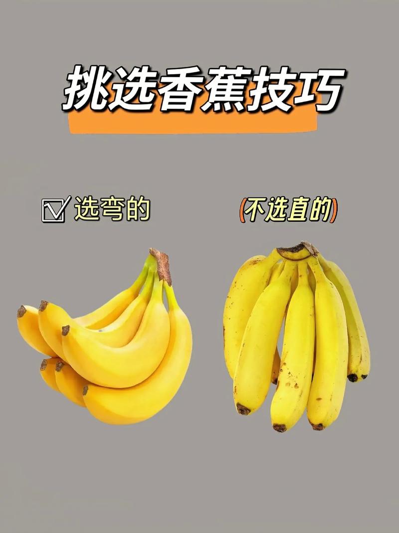 美食 第81页