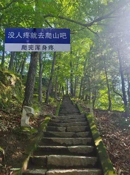 爬山还能“无痛”网友：这个太适合我了！