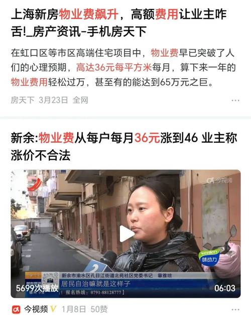 2025年3月29日 第29页