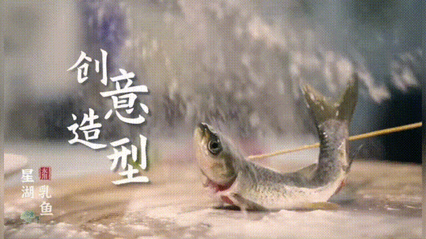 大家好，我是星湖乳鱼