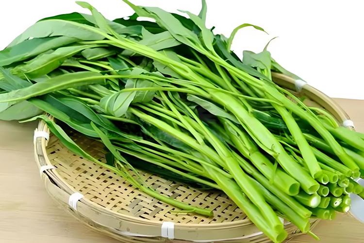 你喜欢空心菜吗？