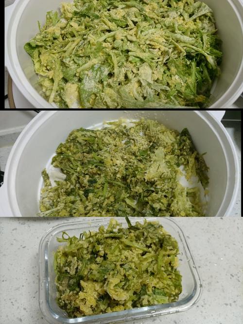 解锁苦菊新吃法！五道超赞苦菊料理