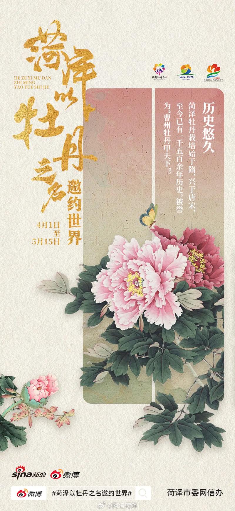 2025世界牡丹大会 第34届菏泽国际牡丹文化旅游节倒计时12天！