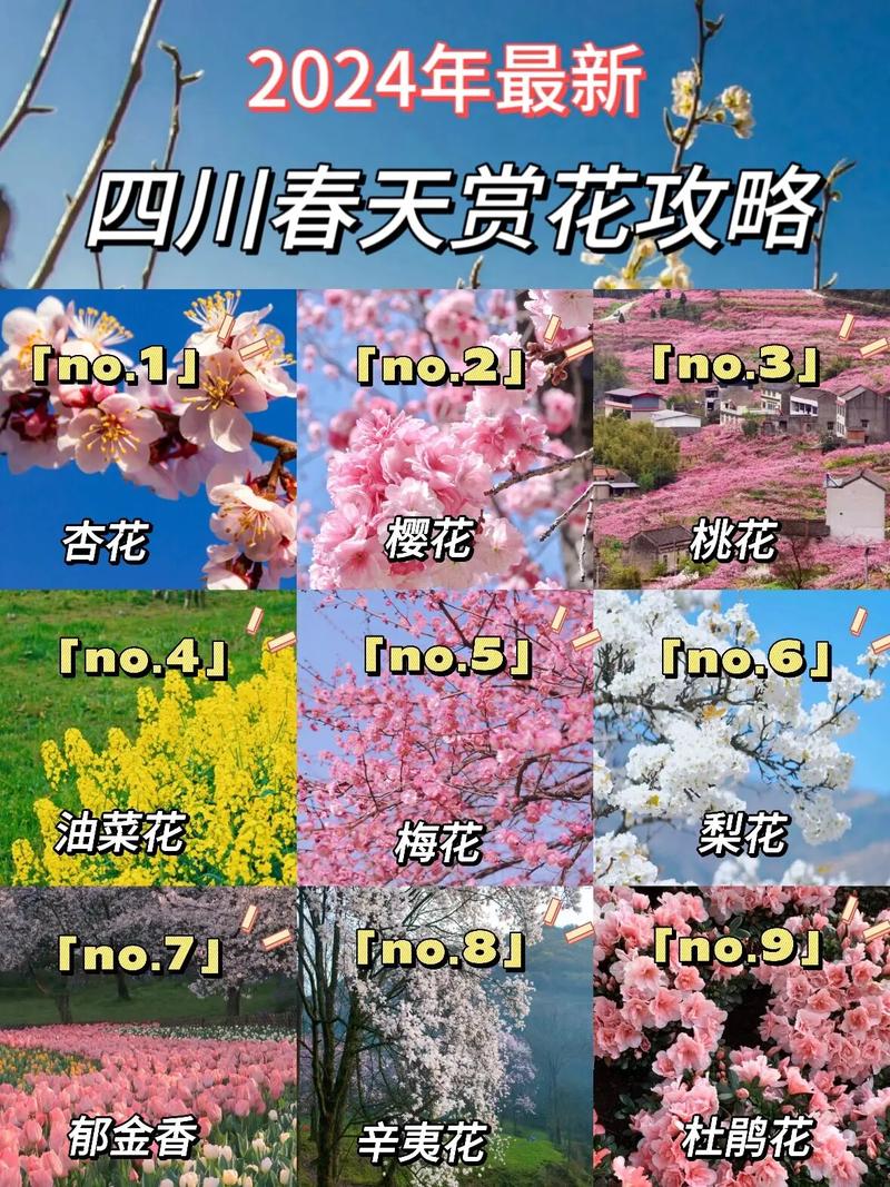 四川推出六条精春游赏花精品路线邀你共赏繁华盛景