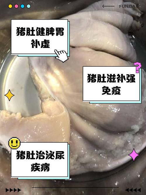 老话说“一个猪肚十副药”猪肚对男人和女人来说都有益处