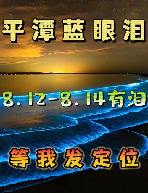 平潭蓝眼泪主题文化节活动即将来袭