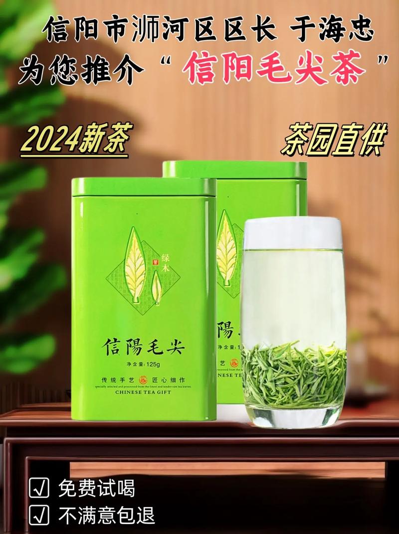 信阳毛尖少量达可采标准，想喝高山茶还要再等一周