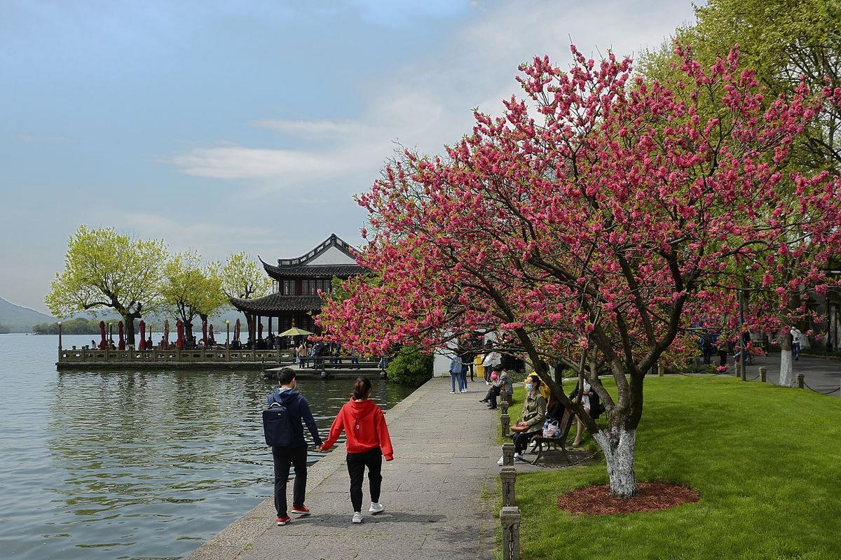 三月桃花朵朵开，丝丝缕缕醉心怀！游杭州桃花湖公园