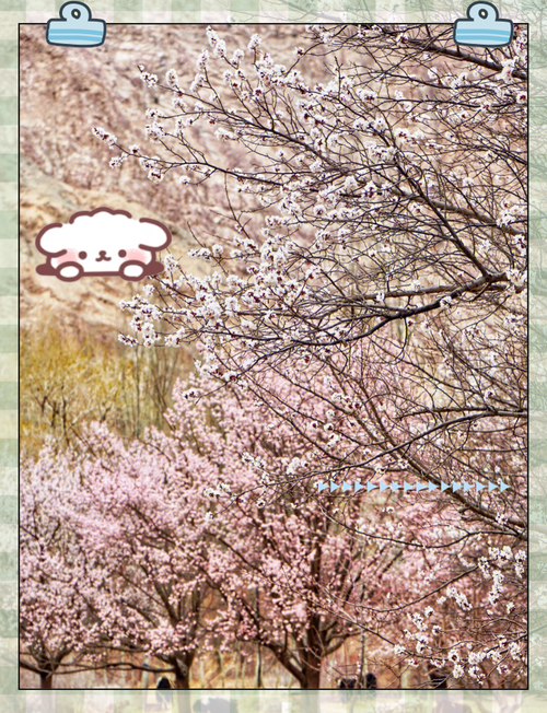 荥阳塔山自驾惊魂记：千年古塔与野生杏花的邂逅