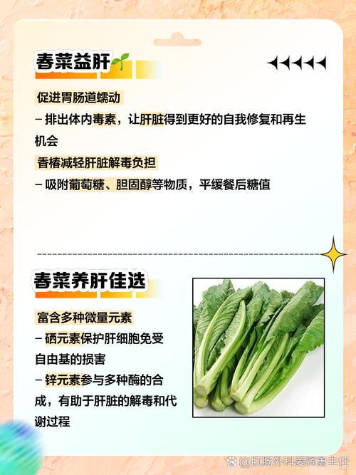 春季常吃这3种春菜，价格实惠，健脾养胃，清热凉血