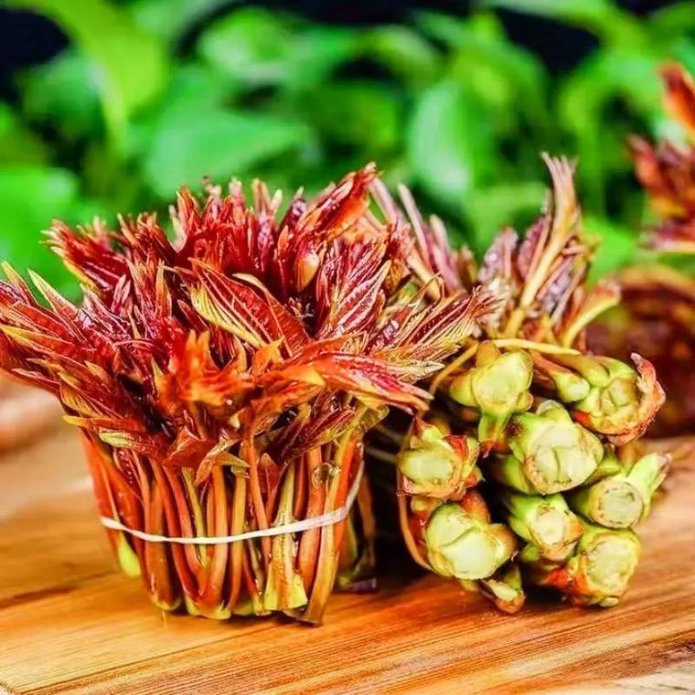 春天一定要吃的5种"芽"错过再等一年！别不信