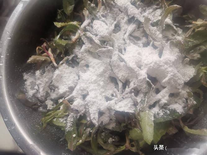 比荠菜香比香椿鲜，这野菜全身是宝，却常被当杂草，拌一拌真鲜美