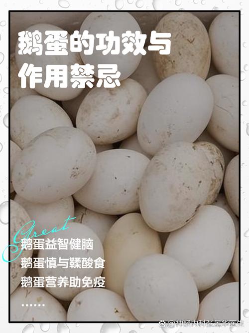 鹅蛋为什么很少有人吃？也很少有卖？看完后才知道，涨知识了！