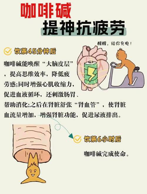 美食 第73页