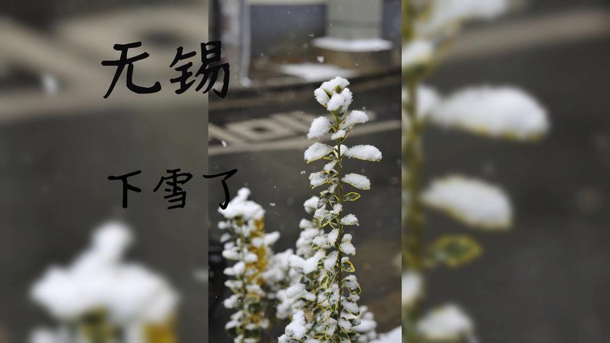 冷空气来袭！刚刚，无锡下“雪”了！