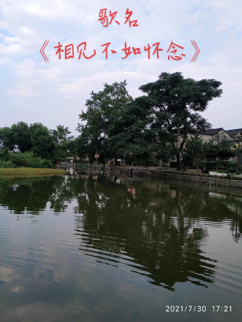 常来相城 心想事成 沪外春风十里，怀念不如“相遇”