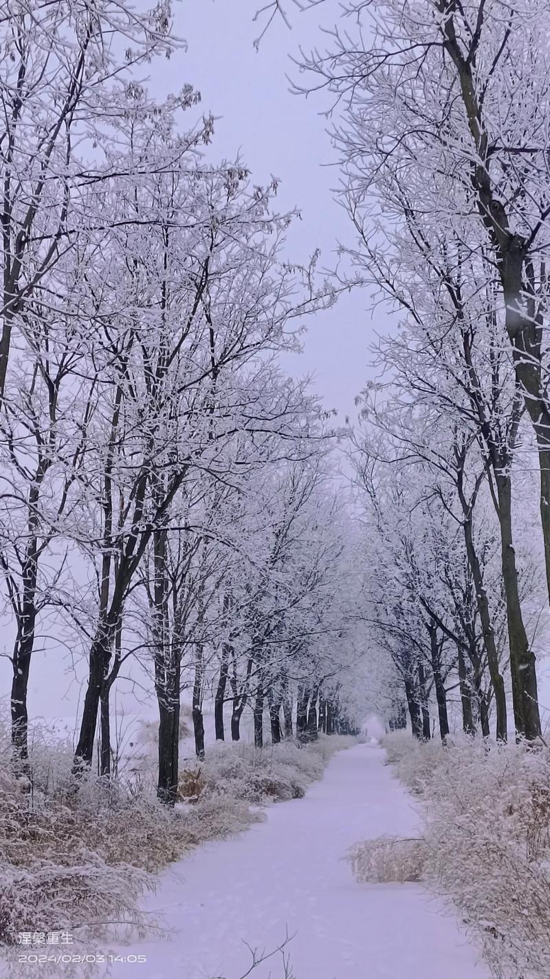 当百花山遇到三月雪 三月的雪 突如其来的一场雪