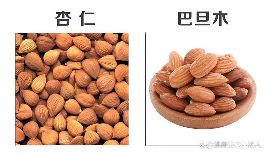 杏仁与巴旦木的区别，哪种好吃？