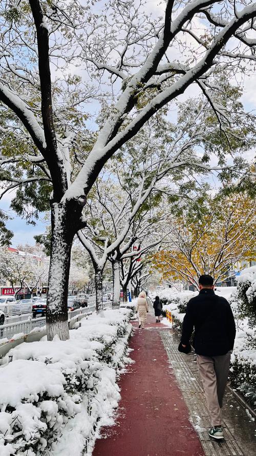 阳春三月赏花期，威海还在“雪花飘”突然下的一场雪