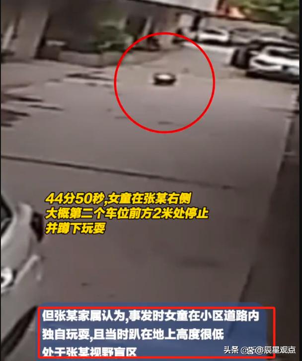 女童小区内被碾压身亡，肇事司机家属：将起诉特斯拉