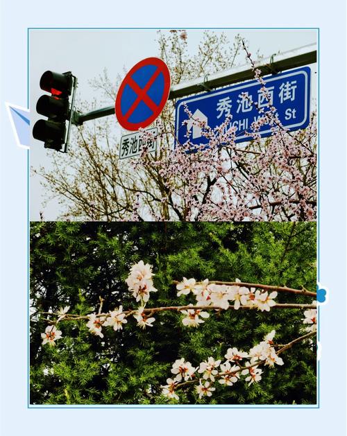 成都春日骑行、赏花天花板！速度收藏！
