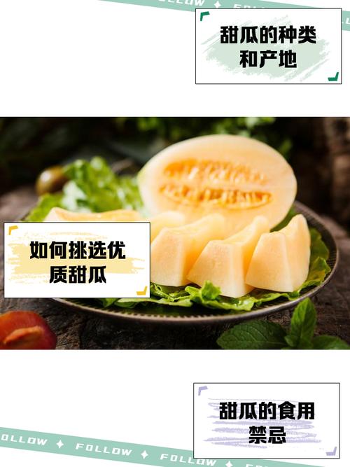 甜瓜进入旺季，快来章丘赴一场“甜蜜”盛宴！