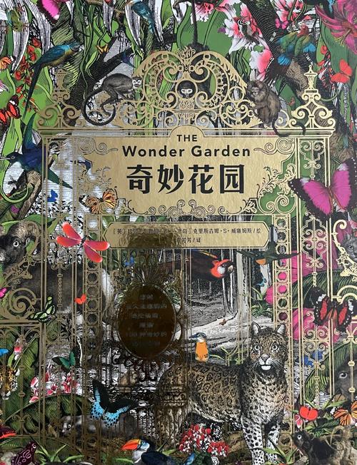 探秘谢巴布电影制片厂，带你走进巴基斯坦的奇妙世界！