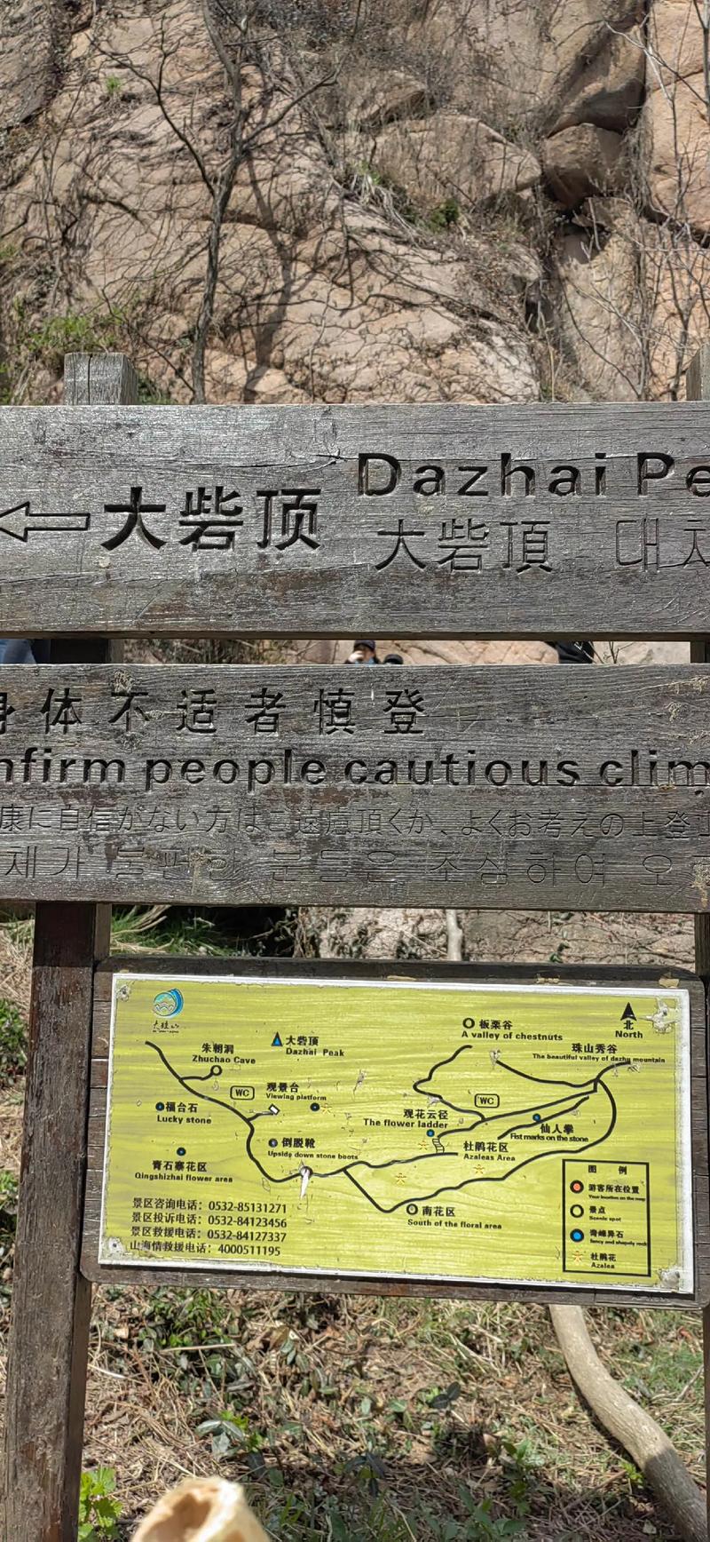 今天上午去青岛大珠山赏鹃花，醉洒人间，执着于不断创新，追梦人