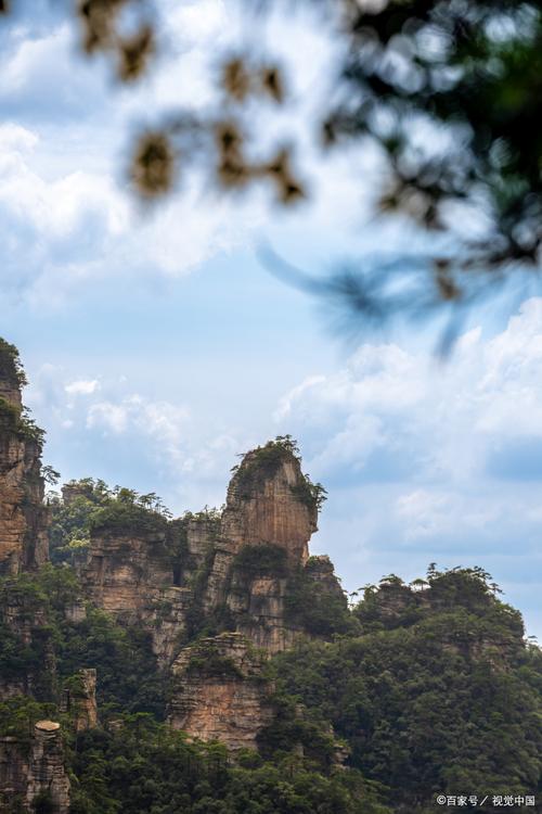 山中奇遇：张家界探秘之旅