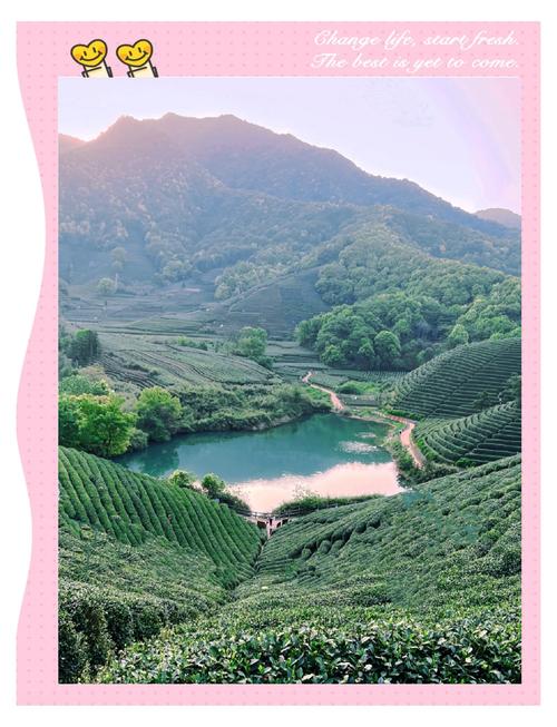 阳春三月，随团旅游走近杭州西湖龙坞茶乡 茶是春天的仪式感