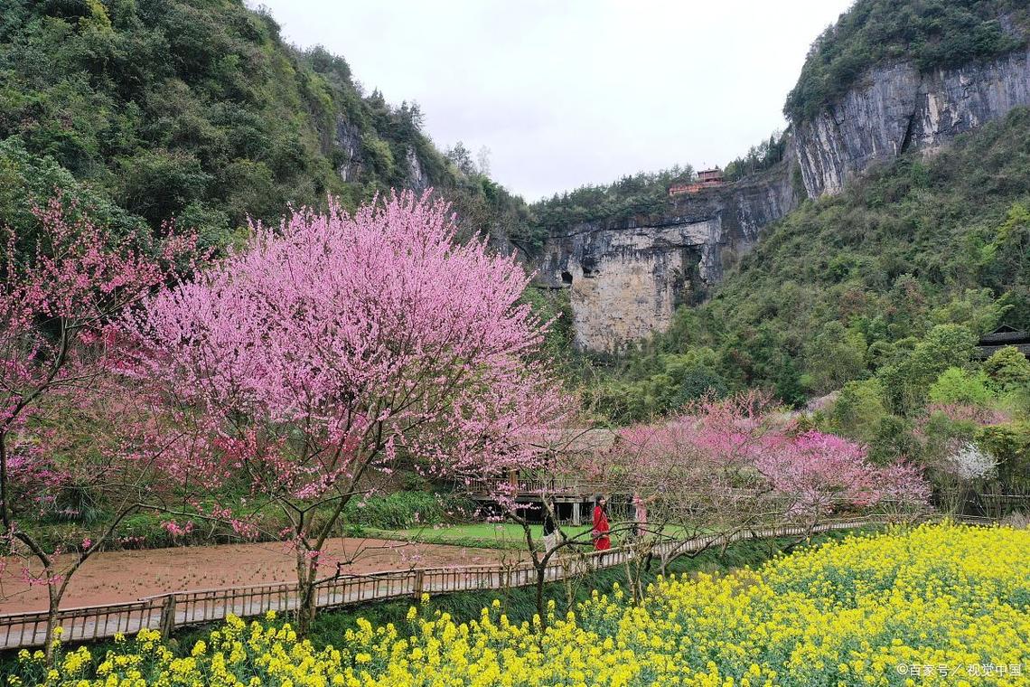 图片新闻｜酉阳：桃花盛开春景美