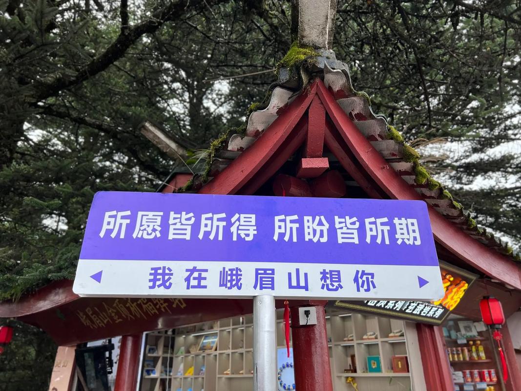 随心所欲南方游，风景在路上，去峨眉山的路上路灯挺特色哈